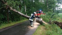 Sturm verhindert Weg zur Schule